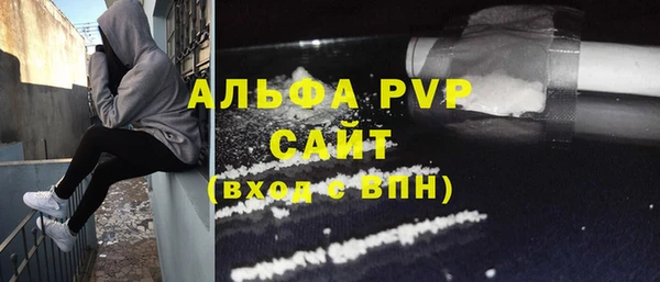 СК Алексин