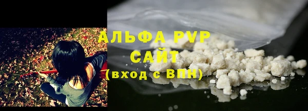 СК Алексин