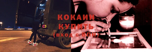 СК Алексин