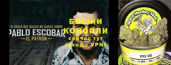 СК Алексин