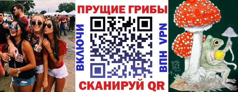 что такое наркотик  Нарьян-Мар  Псилоцибиновые грибы GOLDEN TEACHER 