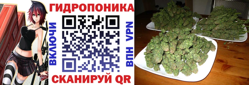Бошки Шишки гибрид мега tor Нарьян-Мар